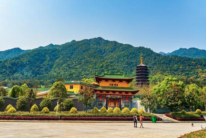 云门寺是佛教哪个宗派的（云门寺的历史）