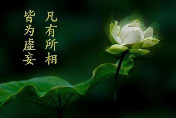 佛教学佛的心得、佛教心得感悟