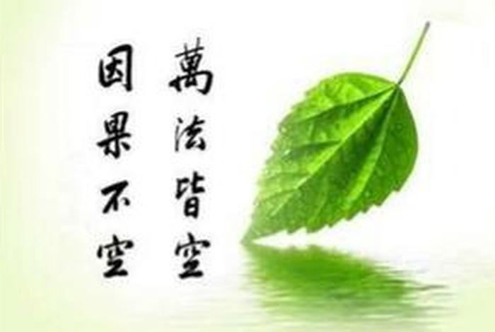 佛教 因果，佛教因果故事视频大全1000集