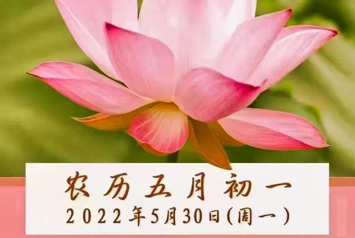 怎样教老人念佛 - 怎样教老人念佛咒