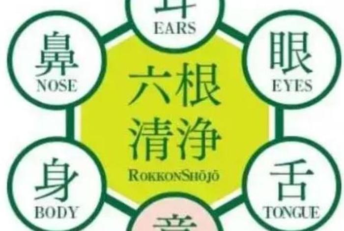佛学的六根和六尘是什么？；佛教中的 六根六尘指的是什么