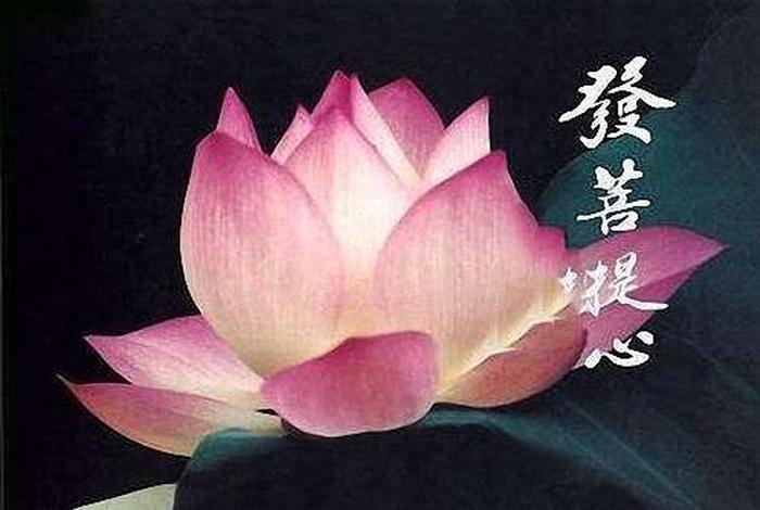 佛教初学怎么修炼 - 佛教徒怎么修行
