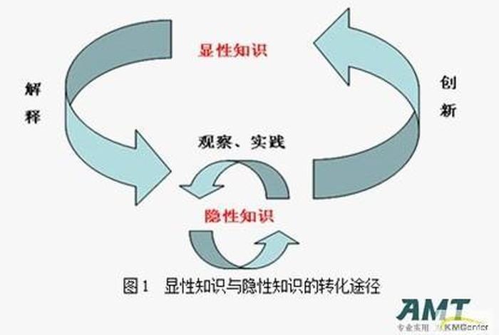 什么叫隐性知识（什么叫隐性知识产权）