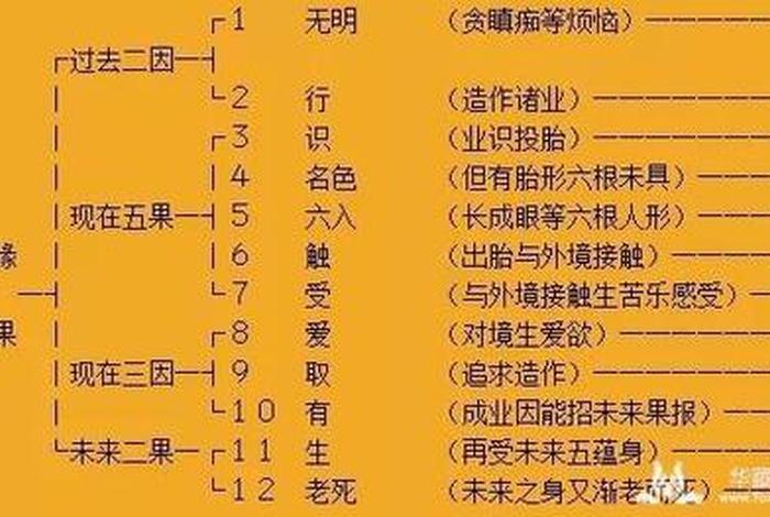 佛学里讲十二因缘白话文 佛法讲的十二因缘是什么内容