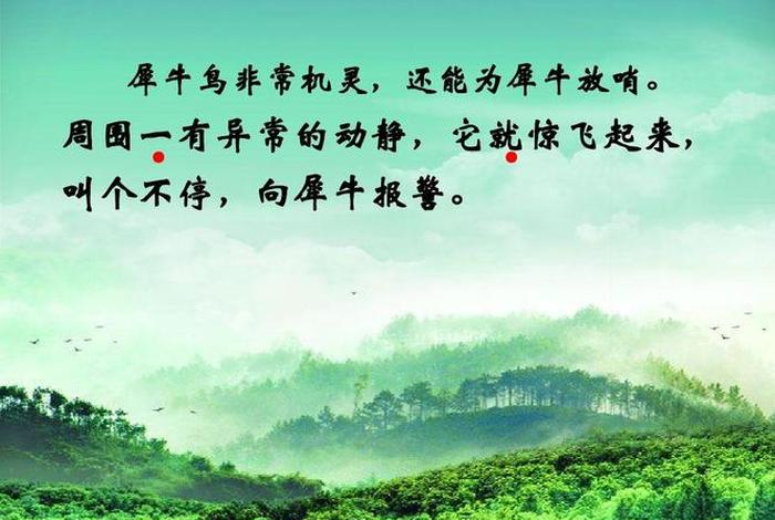 犀牛与犀牛鸟内容介绍，犀牛与犀牛鸟的主要内容