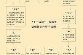 佛法中的十二因缘；佛法中的十二因缘是什么