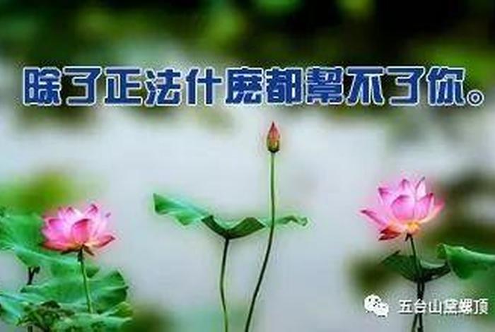 佛教觉悟的正确方法 - 佛教觉悟的正确方法是