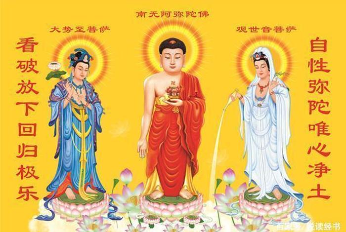 佛学的三宝是哪三宝；佛教三宝是什么？