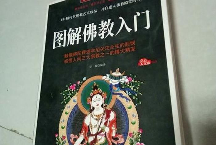 佛教基础知识入门讲解全集，佛教基础·入门必学