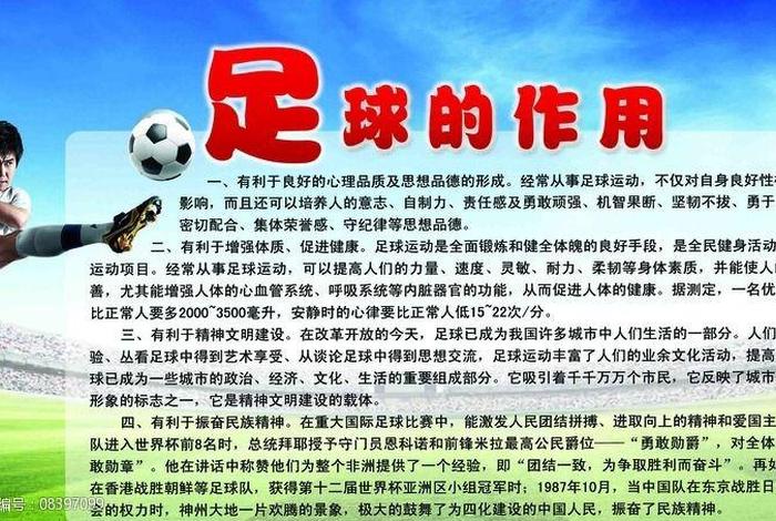 足球教会；足球教会了我们什么