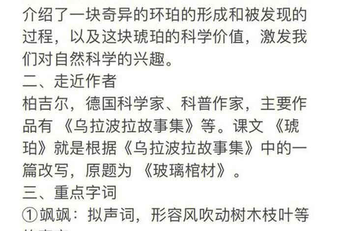 琥珀故事详细介绍 琥珀故事的详细情形是指什么