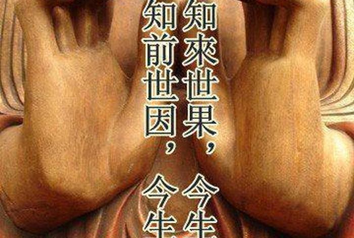 佛教徒被蚊子咬；学佛的人被蚊子咬了也不反抗吗