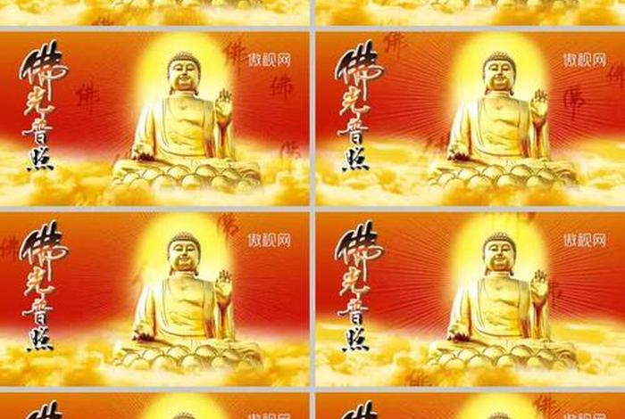 佛教文化知识长视频、佛教文化素材视频