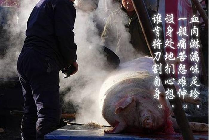 什么叫做三净肉？ 什么叫做三净肉和三鲜肉