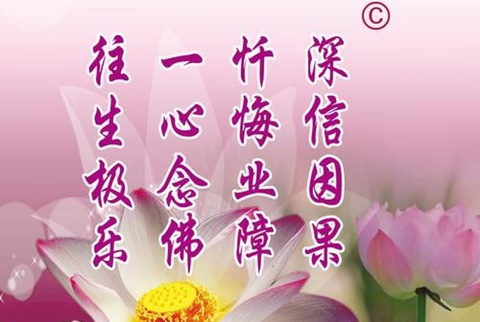 佛教刘老师、佛教刘老师讲因果