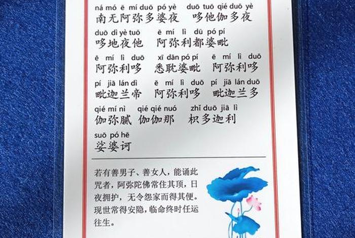 佛法中十小咒（佛教网十小咒读诵）