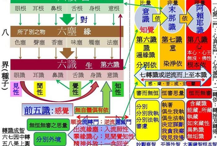 佛教六根六识六尘（佛教中六根六尘六识）