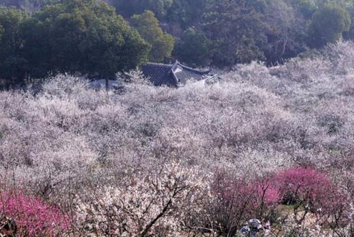怀恩寺圣海法师 - 圣恩寺门票价格