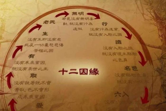 佛学轮回事件（佛教讲的轮回是真的吗）