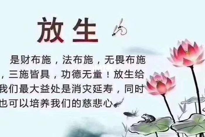 放生的功德殊胜行，放生功德殊胜行,无边