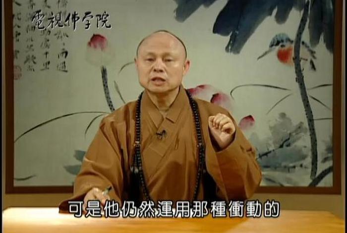佛学与佛教对话视频；佛学与佛教对话视频全集