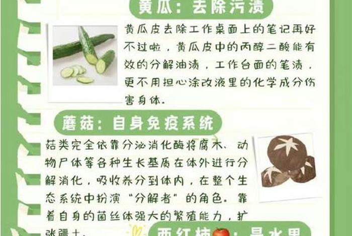 10个冷知识讲解，10个冷知识讲解视频