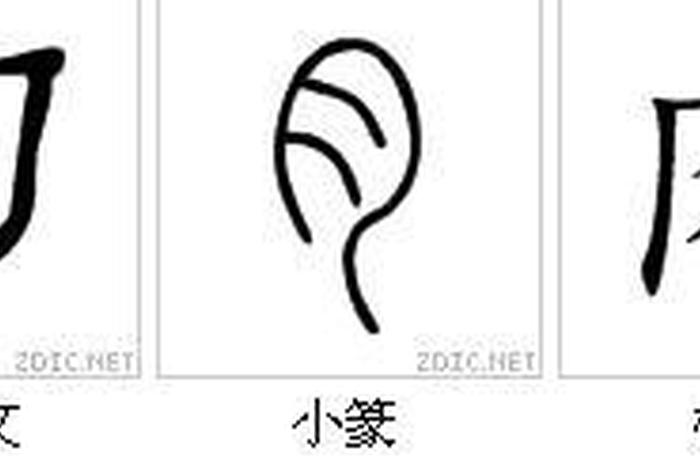 肉字是啥 - 肉字字源