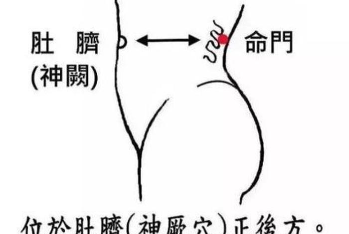 命门的重要性？、命门有什么用