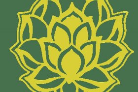 佛教金色，佛教金色莲花寓意和象征意义