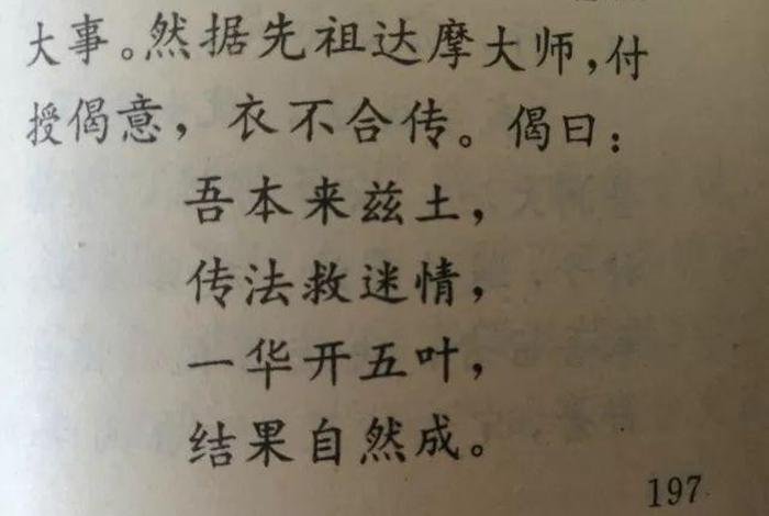 佛说一花开五叶；一花开五叶的意思