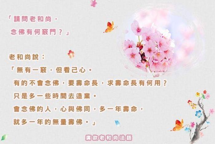 学习佛教的语言 - 学佛常用语
