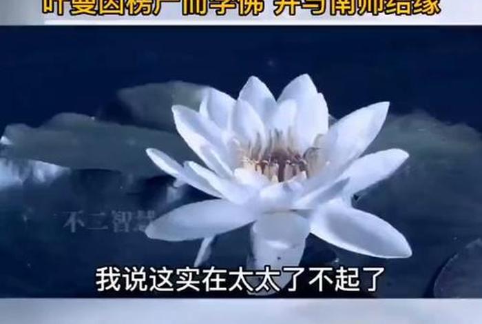 叶曼学佛经历3、叶曼的学佛历程文字版