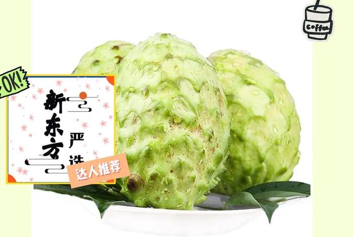 释迦知识大全；释迦怎么解释