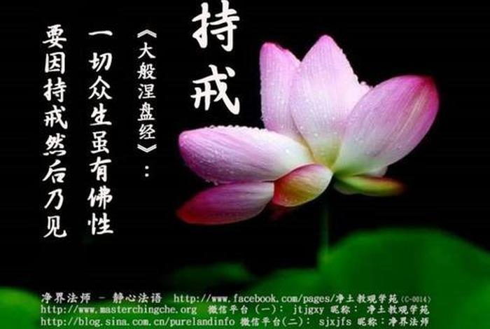诋毁佛教的报应，毁谤佛教的果报