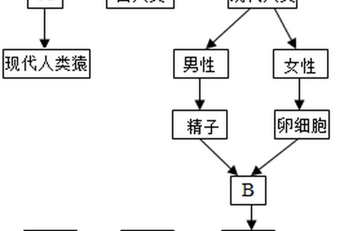 人类是怎么来的大全，秒懂百科人类是怎么来的