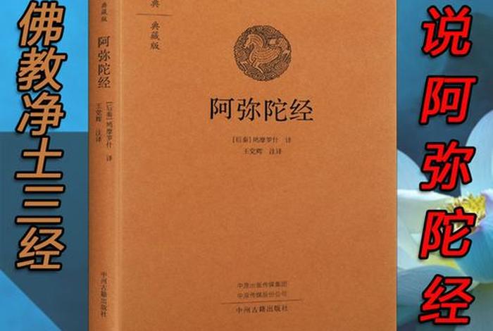大乘佛经是释迦牟尼讲的吗，大乘佛教的佛经来源