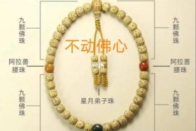 佛珠在佛教代表什么 佛珠有什么说法