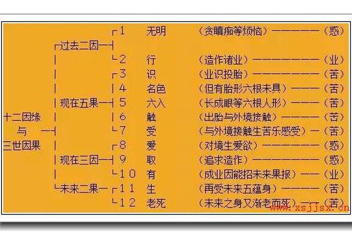 佛教十八识、佛教中的十八界
