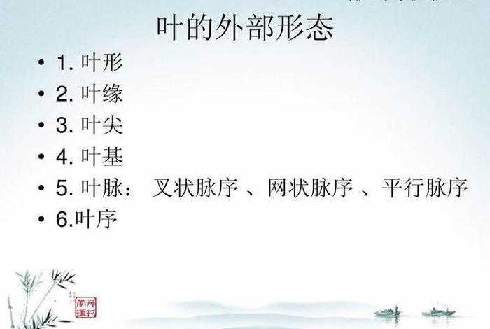 何为三叶；三叶是指什么