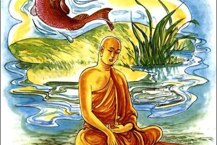 佛教关于鱼的说法、佛教关于鱼的说法有哪些