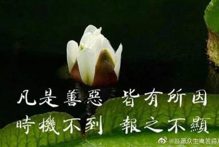 佛教讲美貌的果报；美貌的因果
