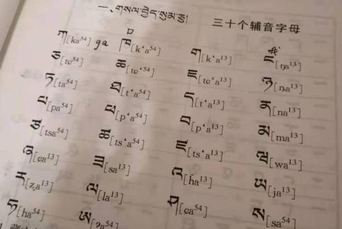 在哪里学藏文专业最好 - 我想学藏文怎么办