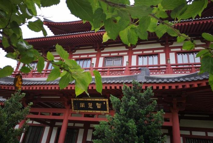 佛教大学有哪些、佛教大学是什么大学