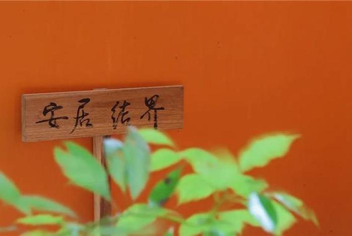 什么是夏安居,中安居（安居结夏）