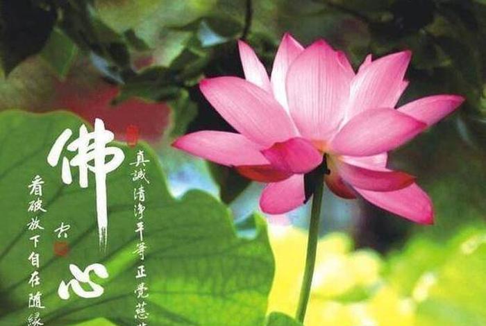 人生无常佛教、人生无常 佛