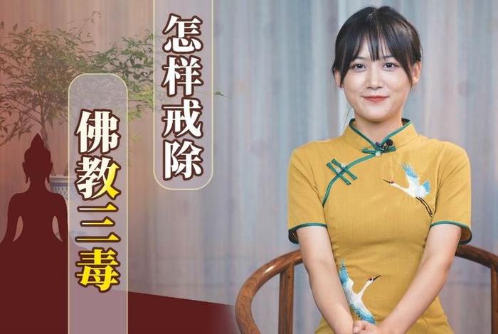 三毒佛教、佛教三毒怎么读