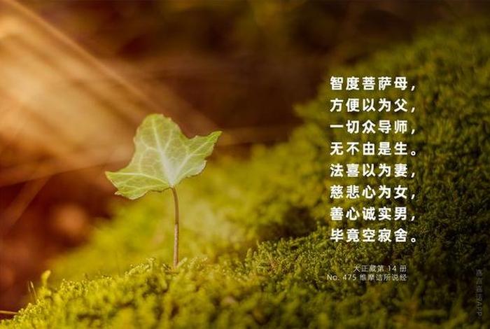 佛学怎样保持慈悲心，如何慈悲众生