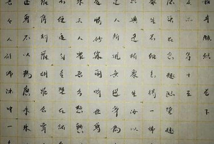 佛教知识与智慧心得体会作文；佛教对智慧的看法