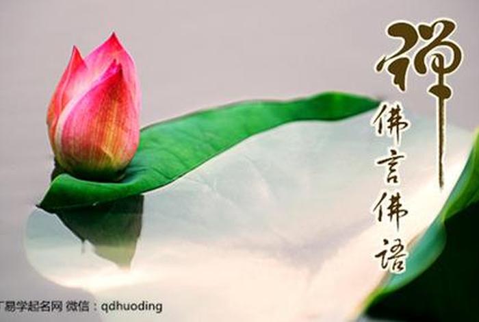 佛教语言听不懂 - 佛教语言听不懂怎么办