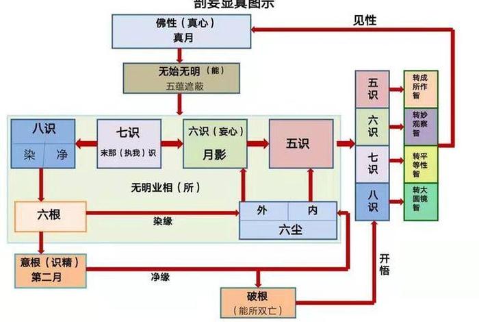 如何破除六根六识（六根 六识）